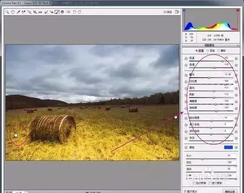 摄影后期处理教程