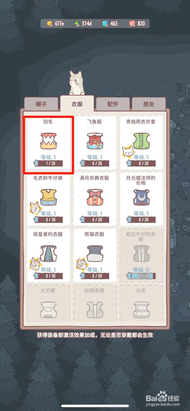 猫咪和汤如何给猫咪穿戴羽毛
