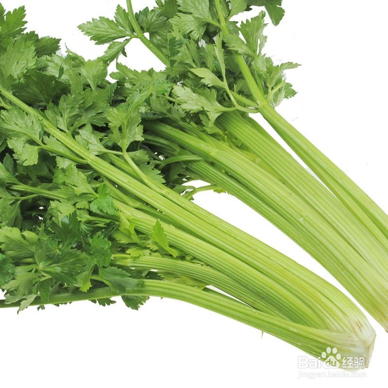 孕育健康宝宝要补充叶酸