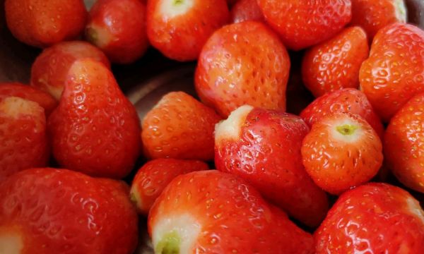 无奶油水果蛋挞