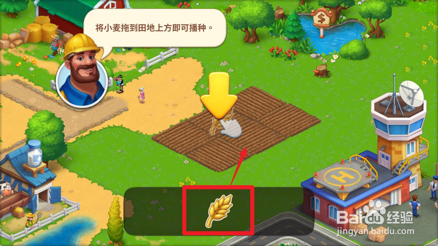 梦想城镇如何种植小麦