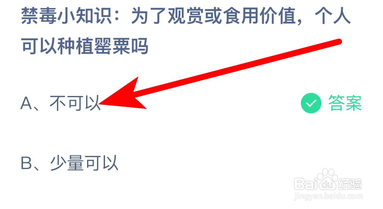 蚂蚁庄园答案为观赏或食用个人可种植罂粟吗？