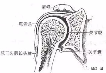 膀大腰圆怎么办？