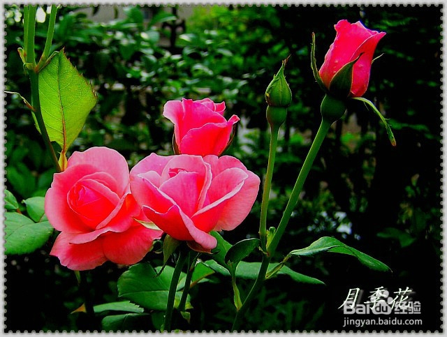 女人怎样过好更年期