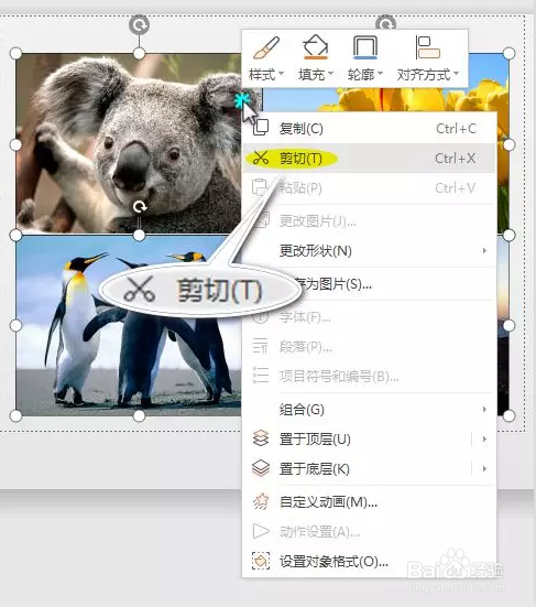 PPT图片展示非简单对齐 如何多张图异形展示