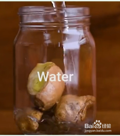 如何掌握食物保鲜小技巧？