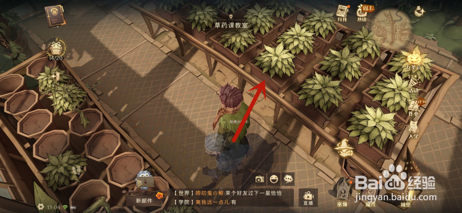 哈利波特魔法觉醒11月8日拼图寻宝位置攻略