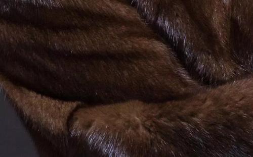 海狸毛和貂毛哪个暖和