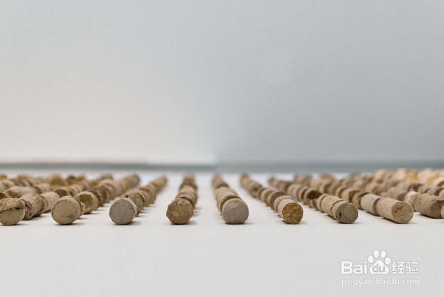 旅游中应该注意什么？