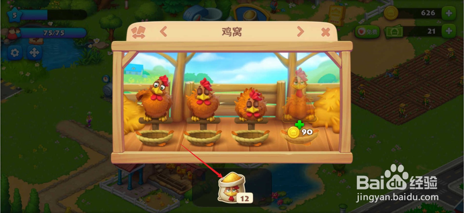 梦想城镇怎么投喂鸡只
