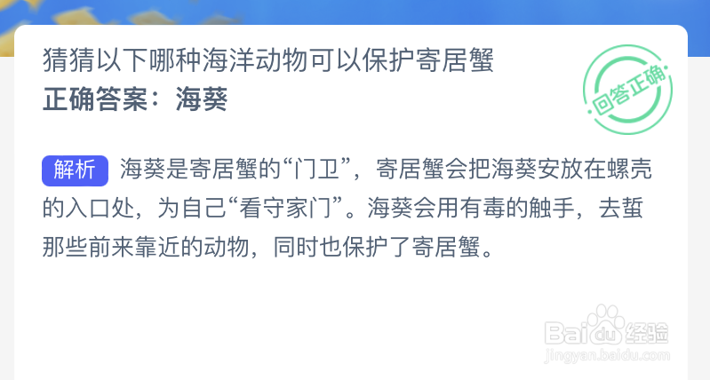 神奇海洋猜猜以下哪种海洋动物可以保护寄居蟹