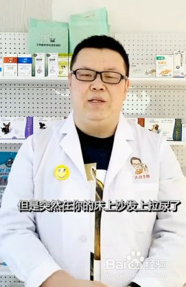 狗狗怎样的行为是记仇呢