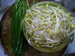韭菜炒豆芽