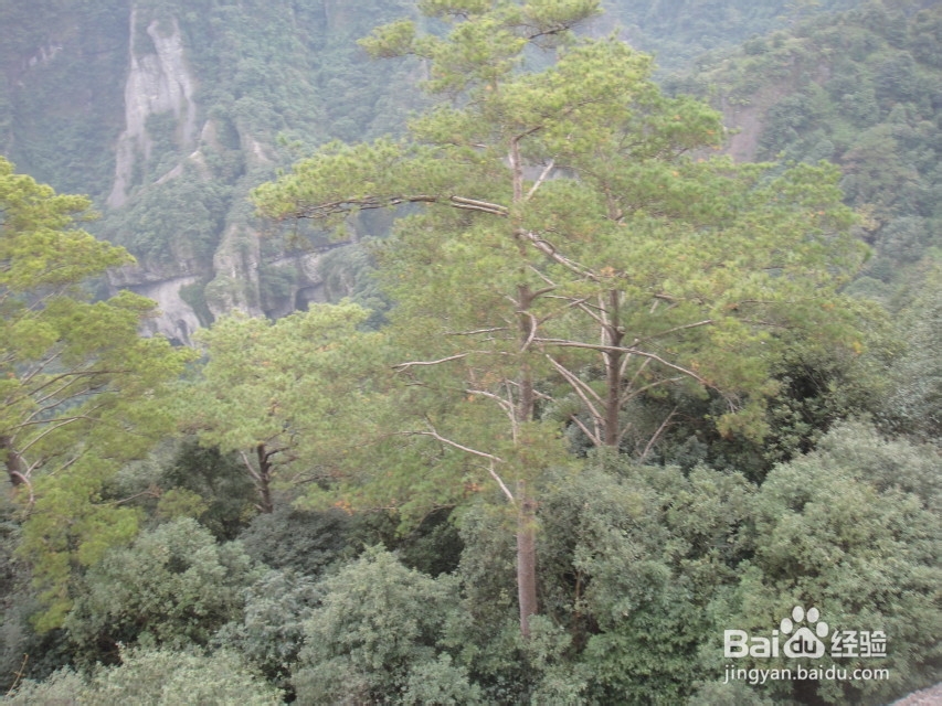 反穿福建福州十八重溪山脊,不一样的味道