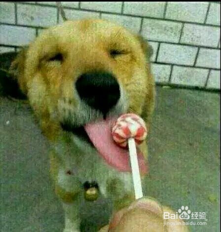 怎么让自己性情不好时开心起来？