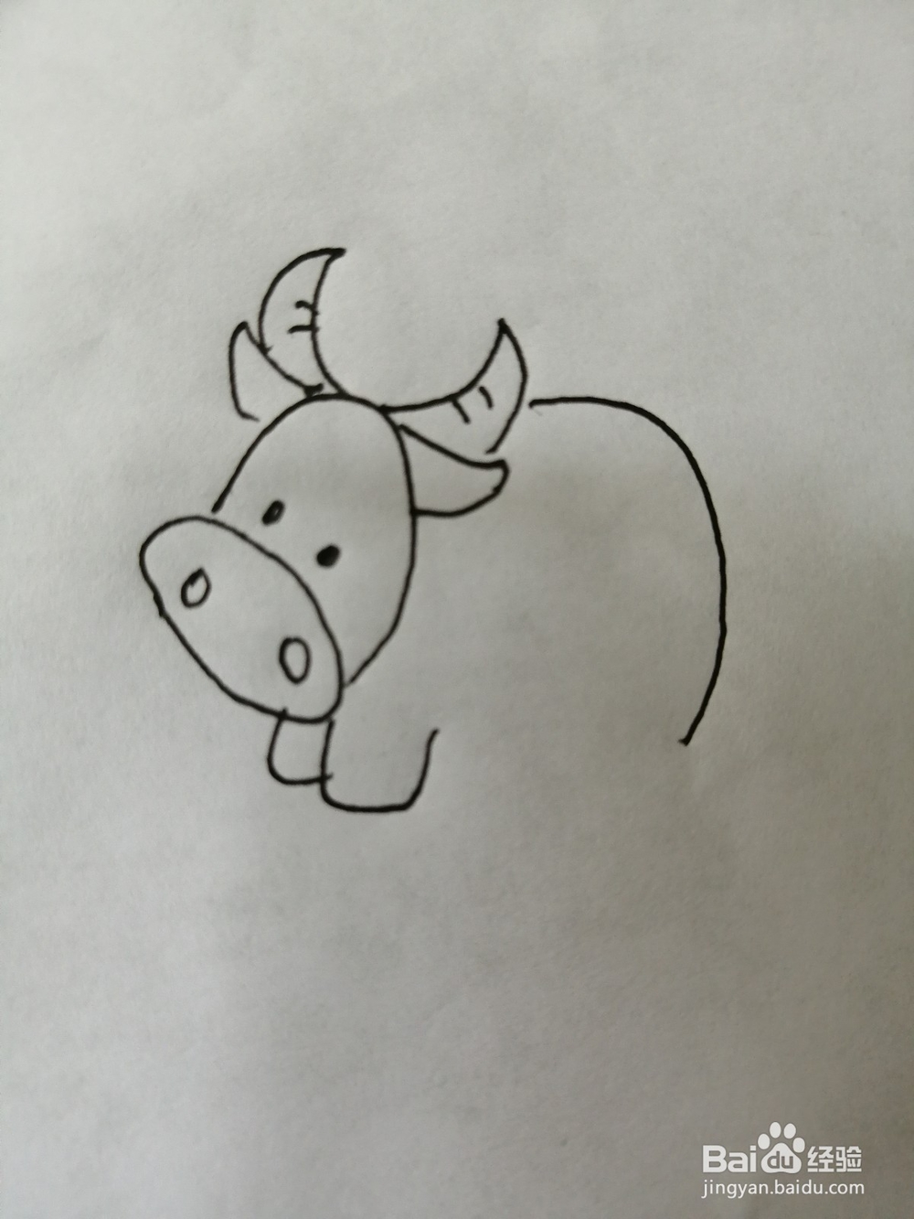 可爱的小牛怎么画