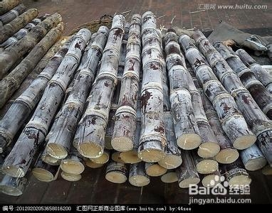 水果的健康功效吃法