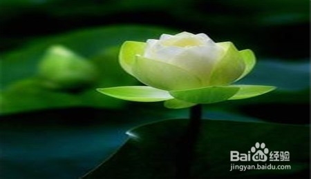 写给朋友们的十句话