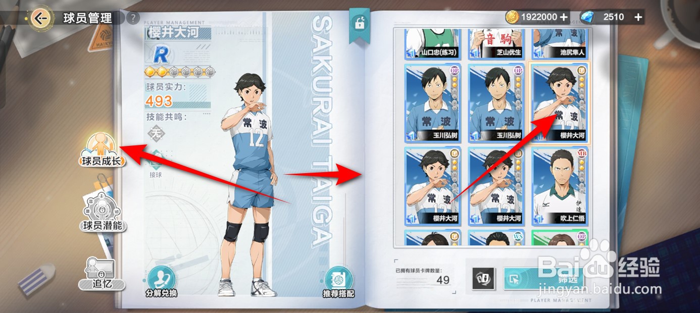 排球少年新的征程球员技能如何升级