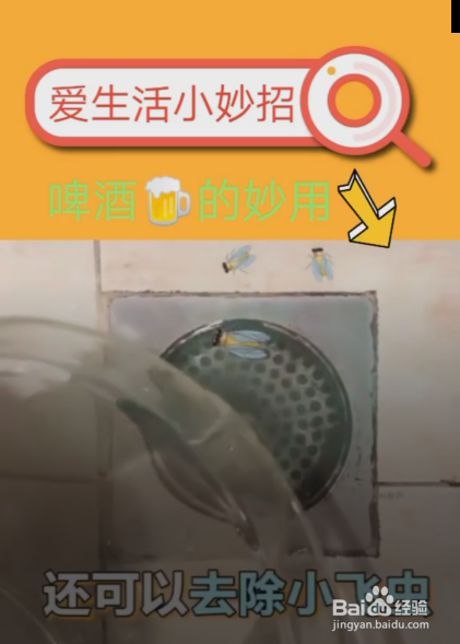 生活中啤酒的妙用