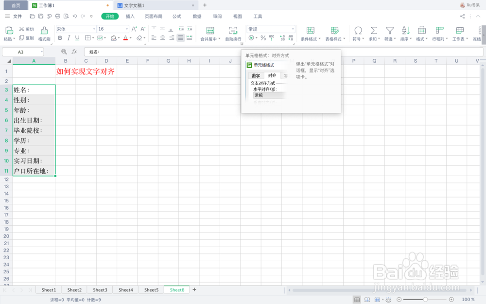 在Excel中，如何实现文字对齐