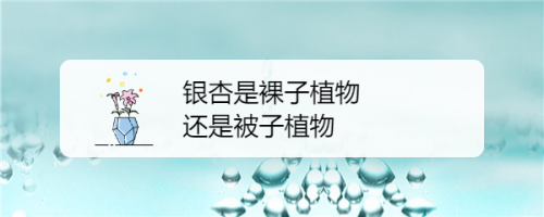 银杏是裸子植物还是被子植物 百度经验