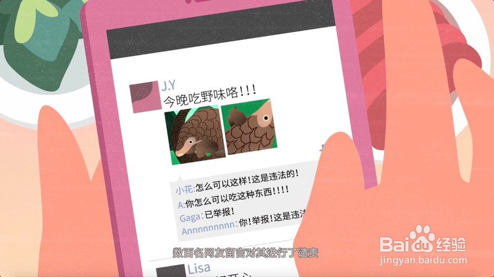 怎样正确保护野生动物