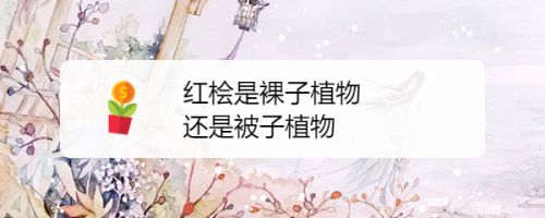 红桧是裸子植物还是被子植物 百度经验 红桧是裸子植物还是被子植物 百度经验