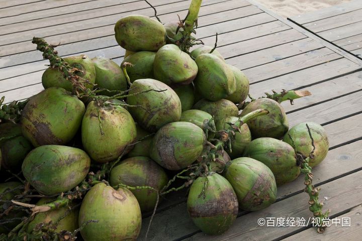 椰皇的营养价值与功效