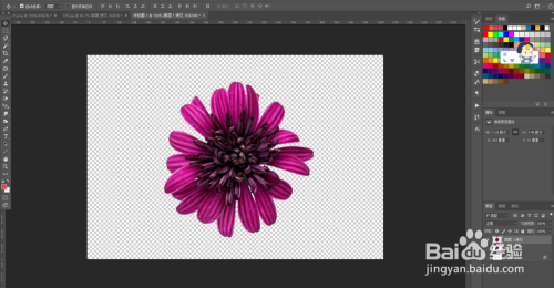 PS抠图教程（一）