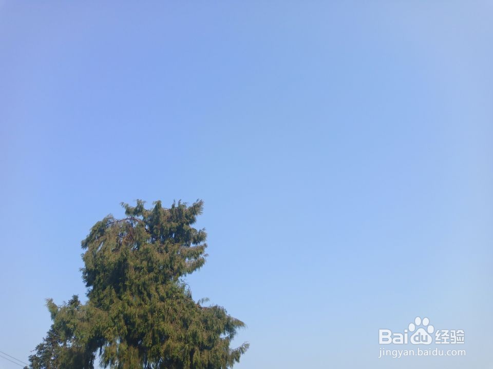 如何形成好的公共生活