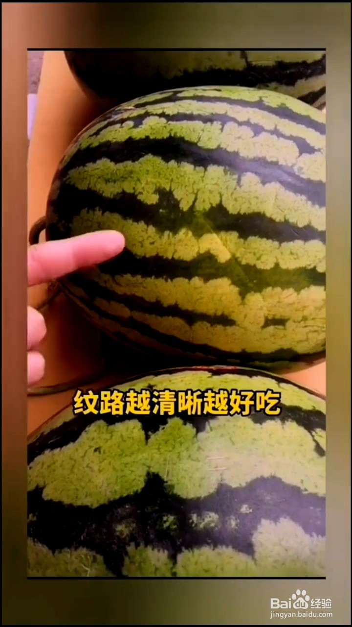 如何挑选西瓜