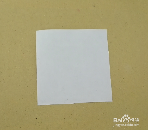 剪一个漂亮的小松树