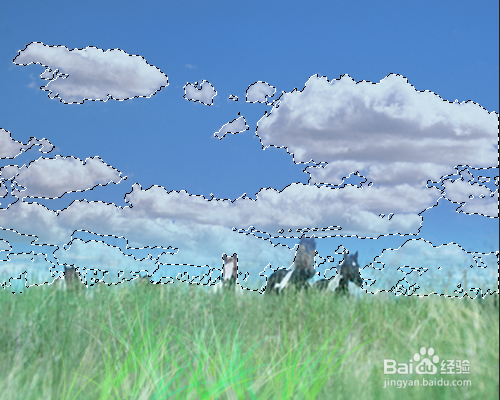 PS如何在通道中存储和应用选区