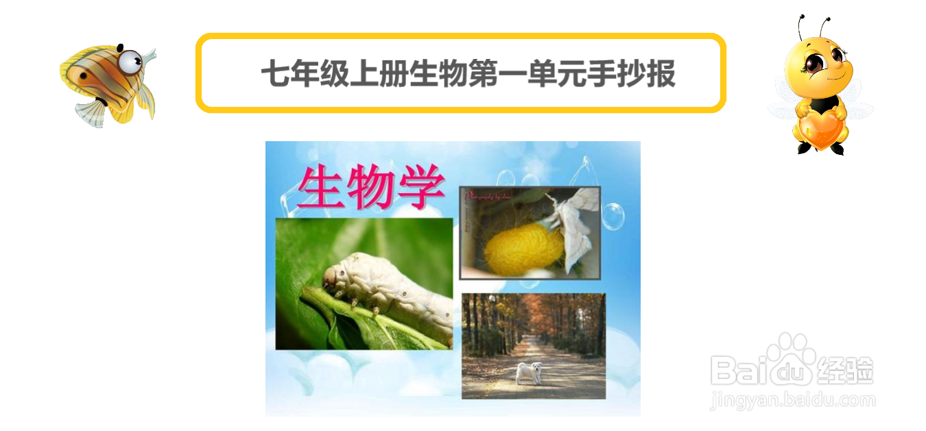 七年级上册生物第一单元手抄报