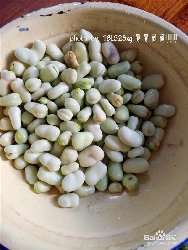 韭菜虾皮炒蚕豆