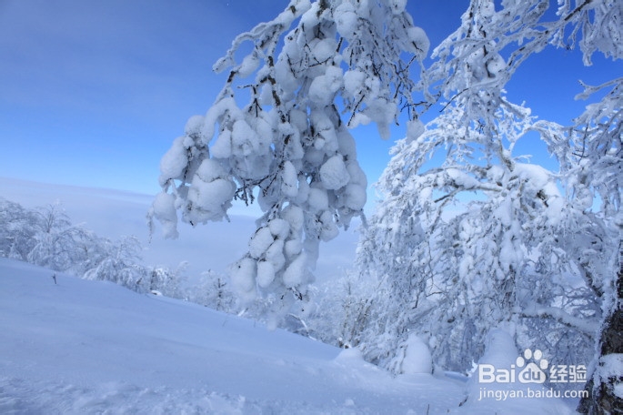 东北雪乡旅游攻略
