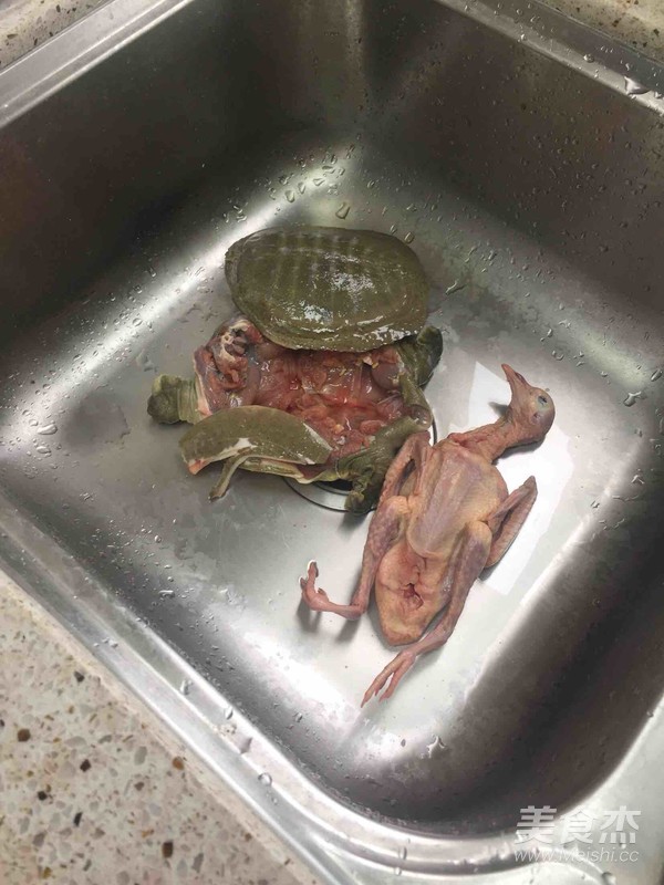 甲鱼鸽子汤的做法