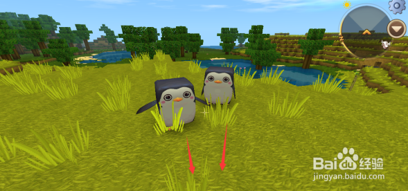 迷你世界企鹅怎么饲养