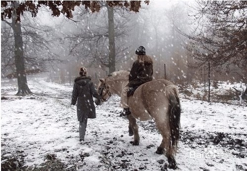 使用PS滤镜绘制雪景图