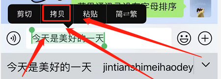 苹果手机怎么复制粘贴