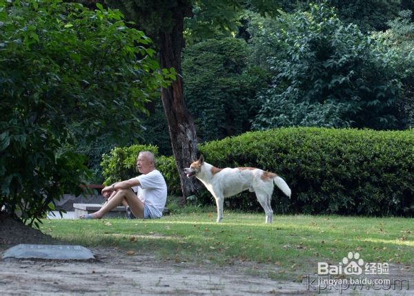 空巢老人如何排遣寂寞