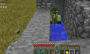 我的世界僵尸村民如何变成村民