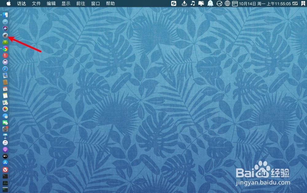 苹果电脑怎么自动获取IP