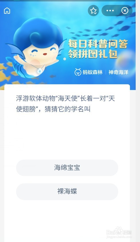 海天使叫什么 神奇海洋今日答案裸海蝶