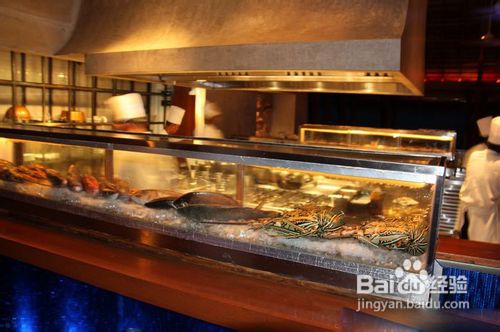 马尔代夫W岛旅游攻略