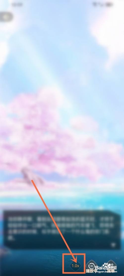 点点穿书自动播放如何设置