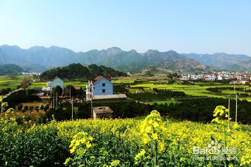 四月，让心游荡在龙游的春天