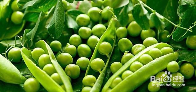 吃哪些食物有美白的作用呢