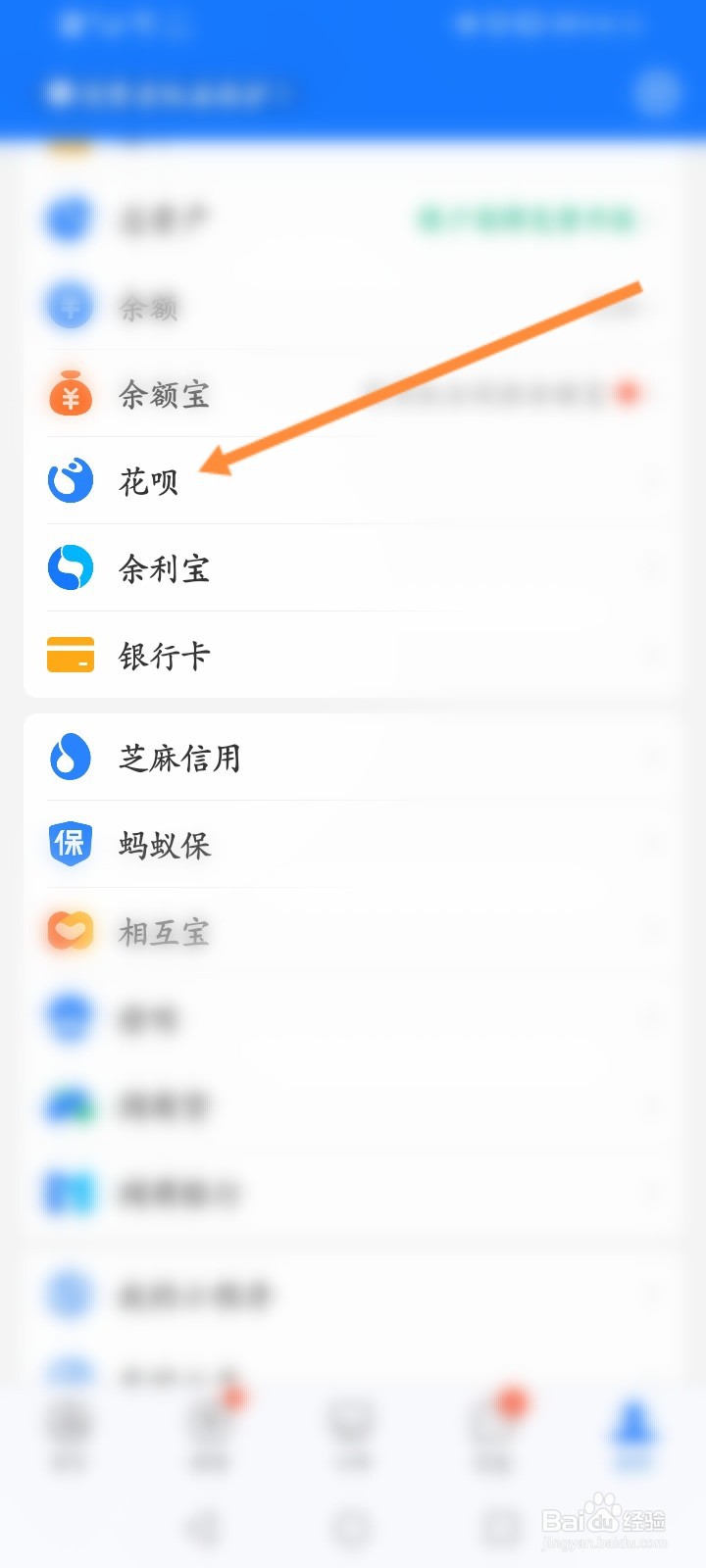 怎么查看花呗金的使用记录